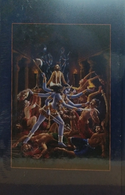 Srimad Bhagavatam 5th Canto : Marathi